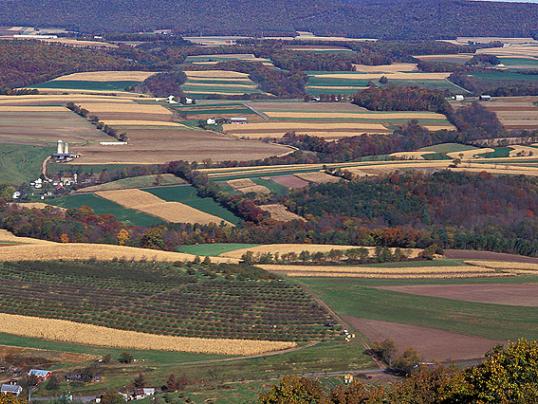 Photo by Scott Bauer, USDA.