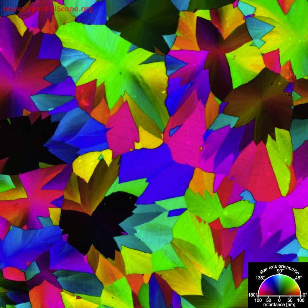 Image recorded with the birefringence OpenPolScope and displays the retardance (brightness) and slow axis orientation (hue) of a 300 nm thick layer of calcite crystals.